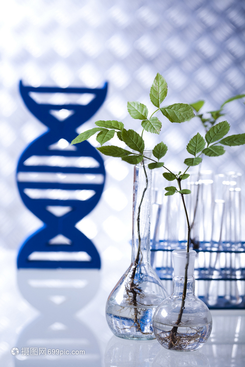 現代生物技術實驗室 融合化學、生物有機與軟件的創新研究