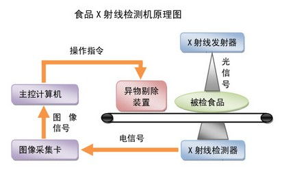 食品生物技術(shù)的發(fā)展趨勢(shì)與生物研究的前沿探索